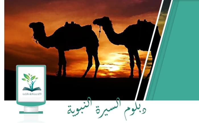 دبلوم السيرة النبوية